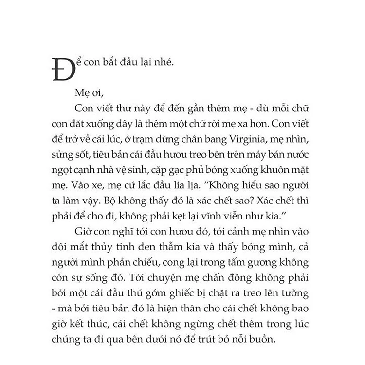 Một Thoáng Ta Rực Rỡ Ở Nhân Gian - Ảnh 3