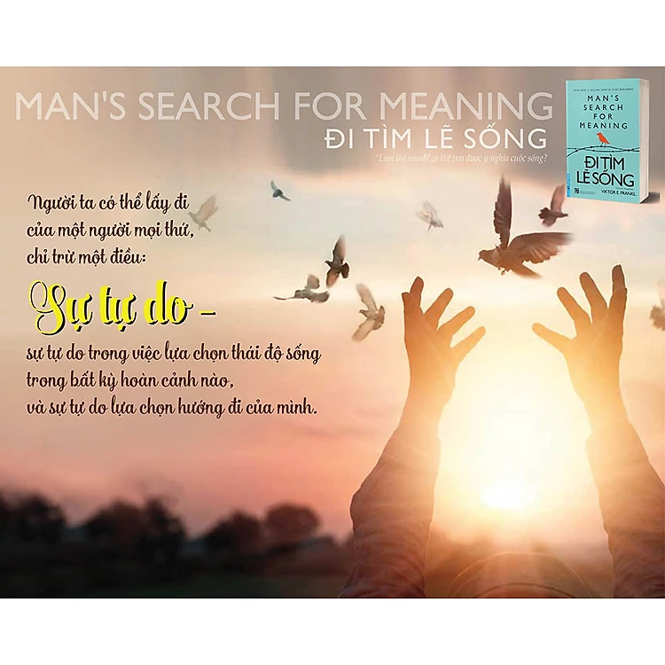 Đi Tìm Lẽ Sống (Tái Bản) - Ảnh 2